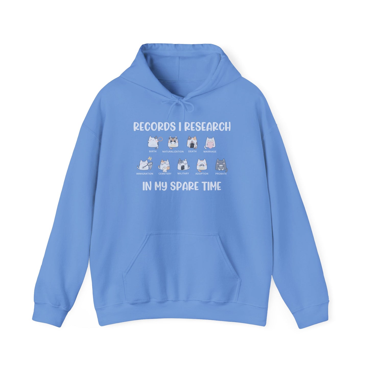 Records I Reseach in my Spare Time Hoodie