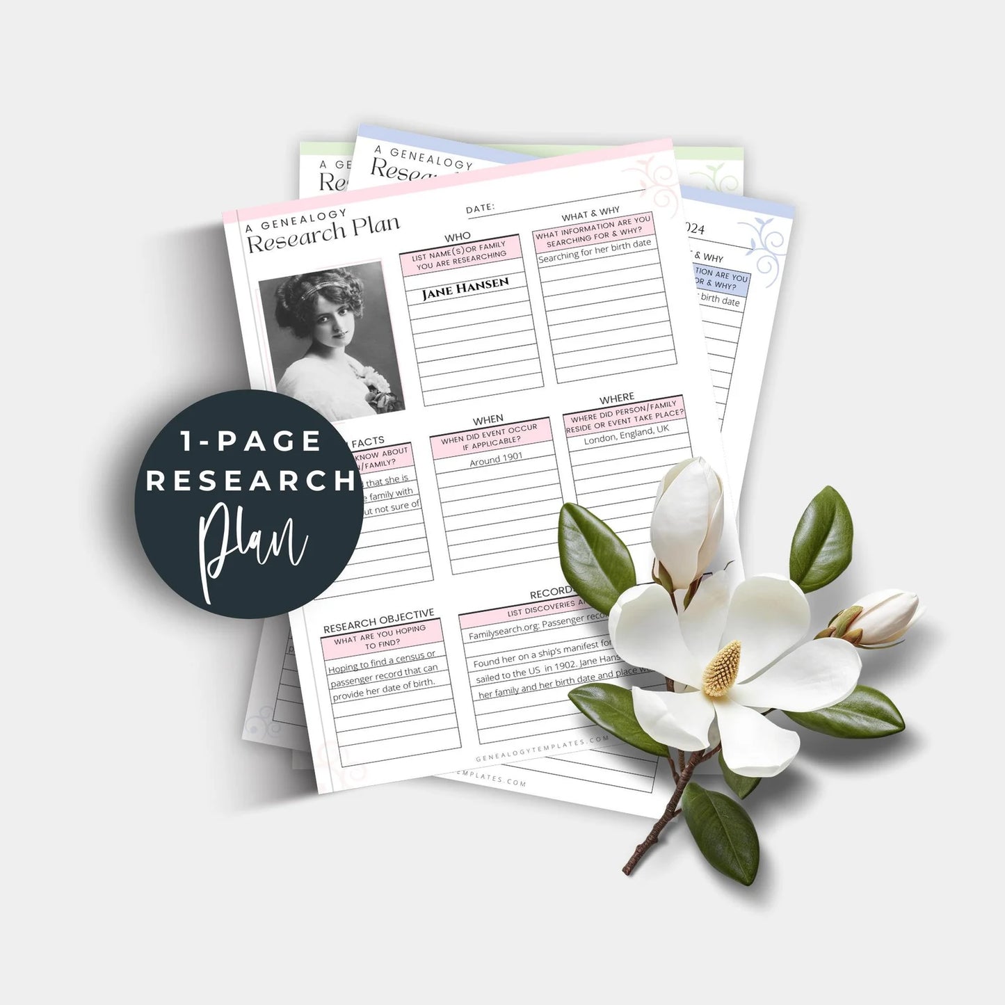The One Page Research Plan
