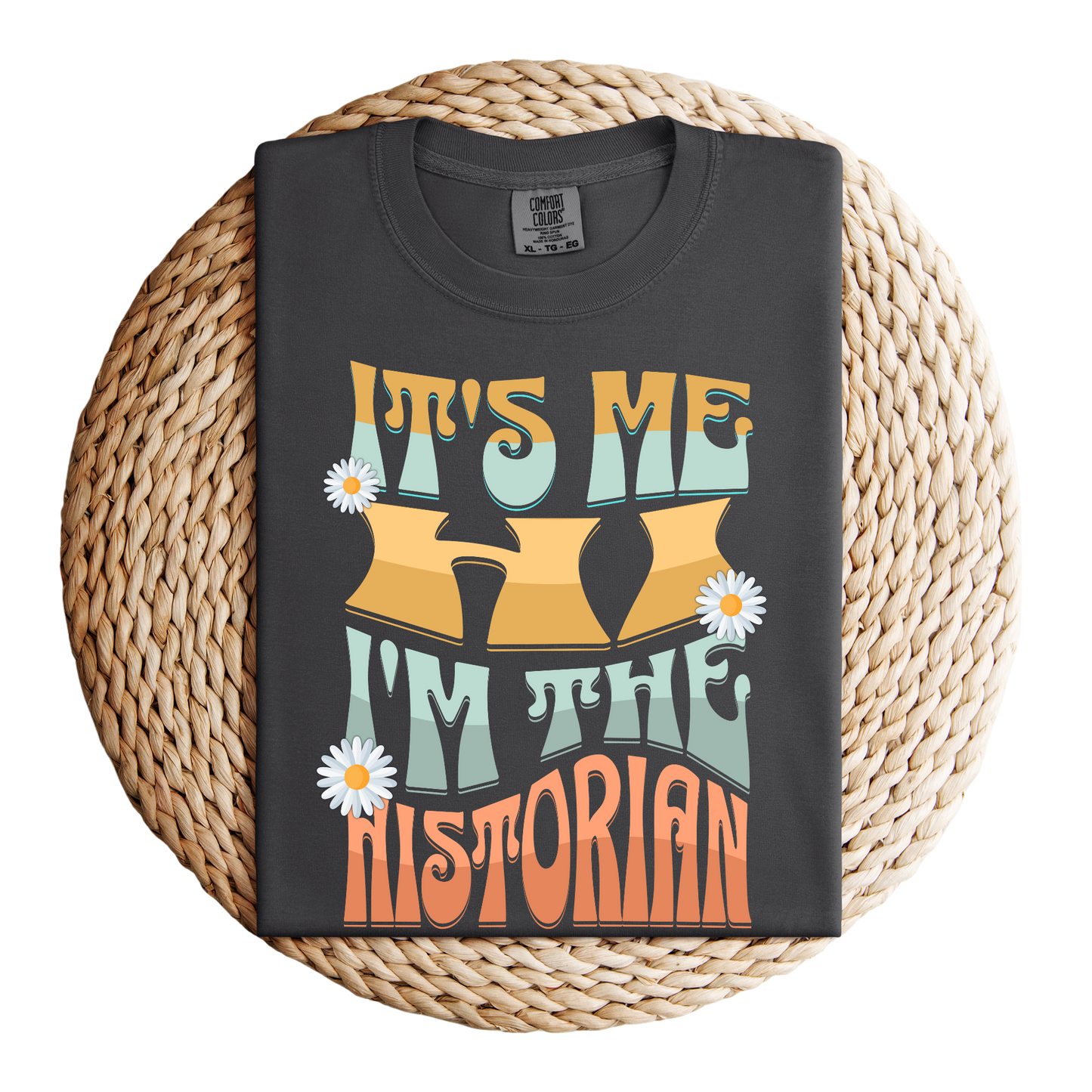 It's Me, Hi, I'm the Historian T-Shirt Gift
